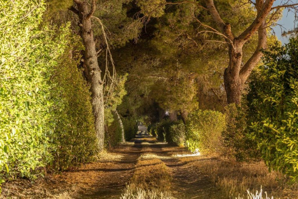 Villa Salento Lecce Buitenkant foto